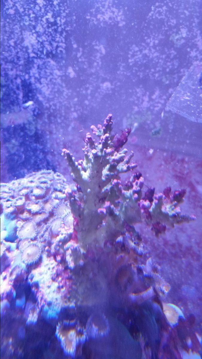 20161029_194525.jpg