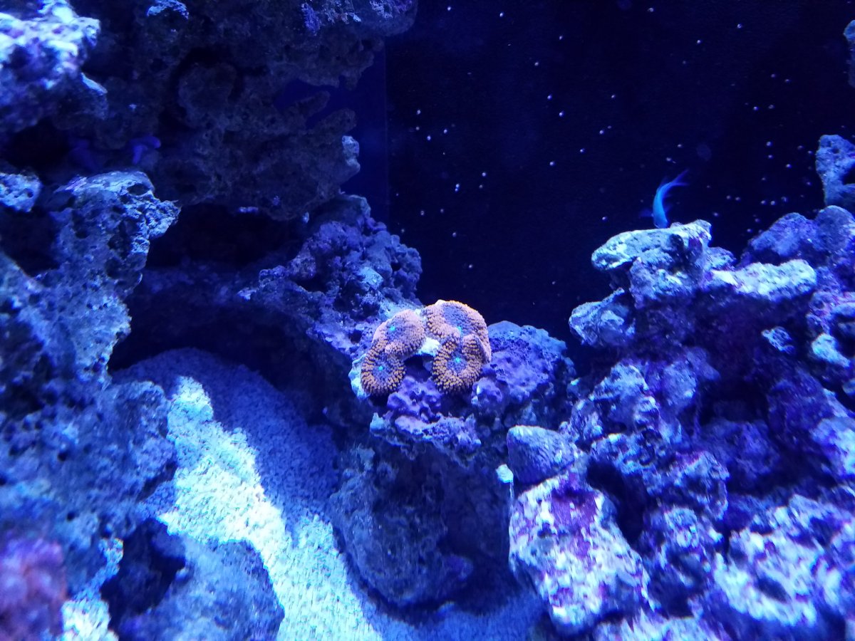 20161030_095402.jpg