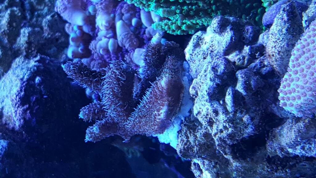 20161031_180935.jpg