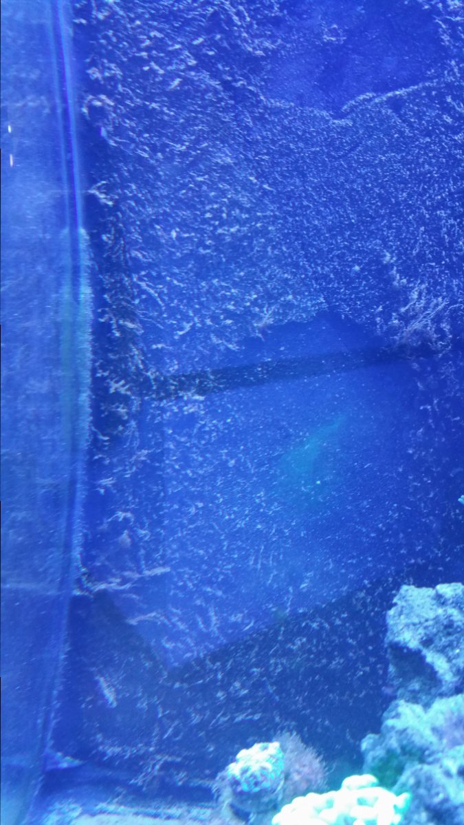 20161031_182352.jpg