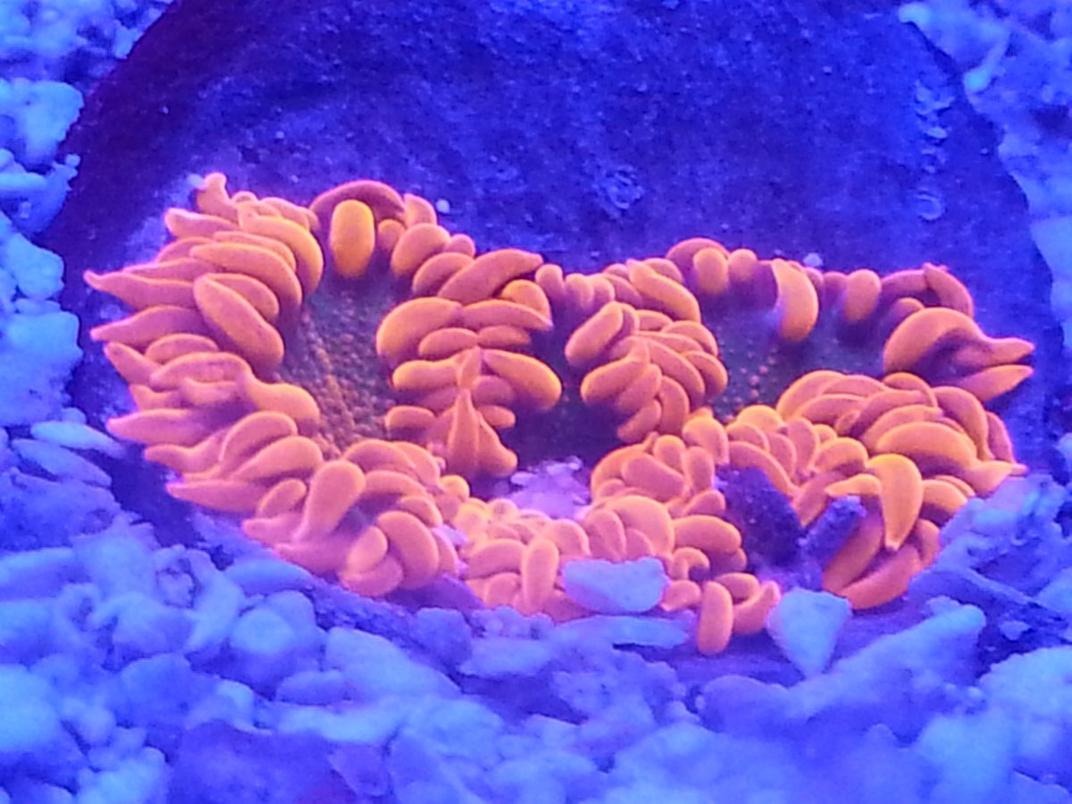 20161031_230010.jpg