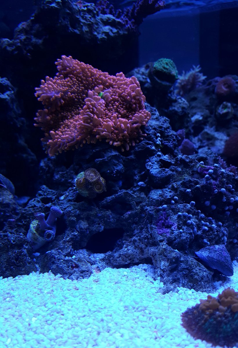 20161101_170224.jpg