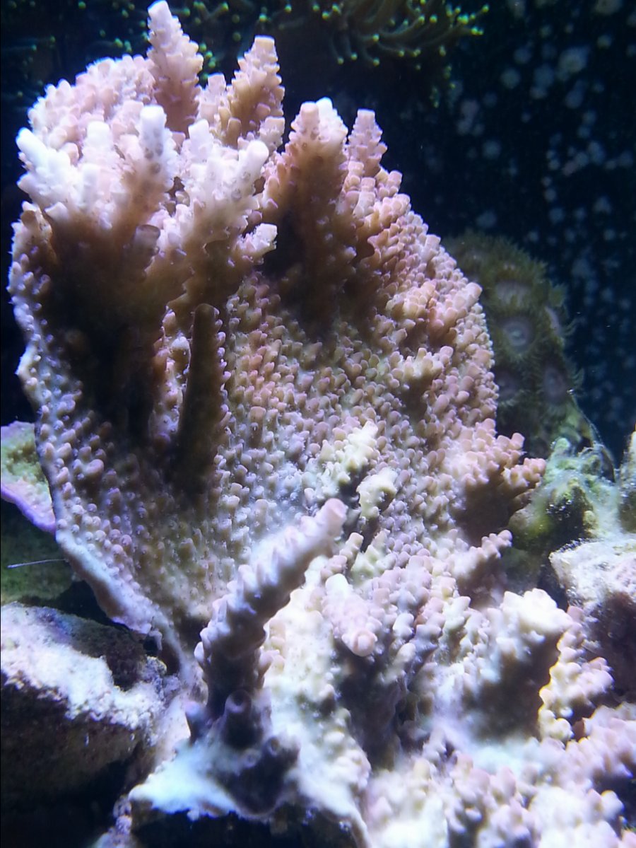 20161102_145402.jpg