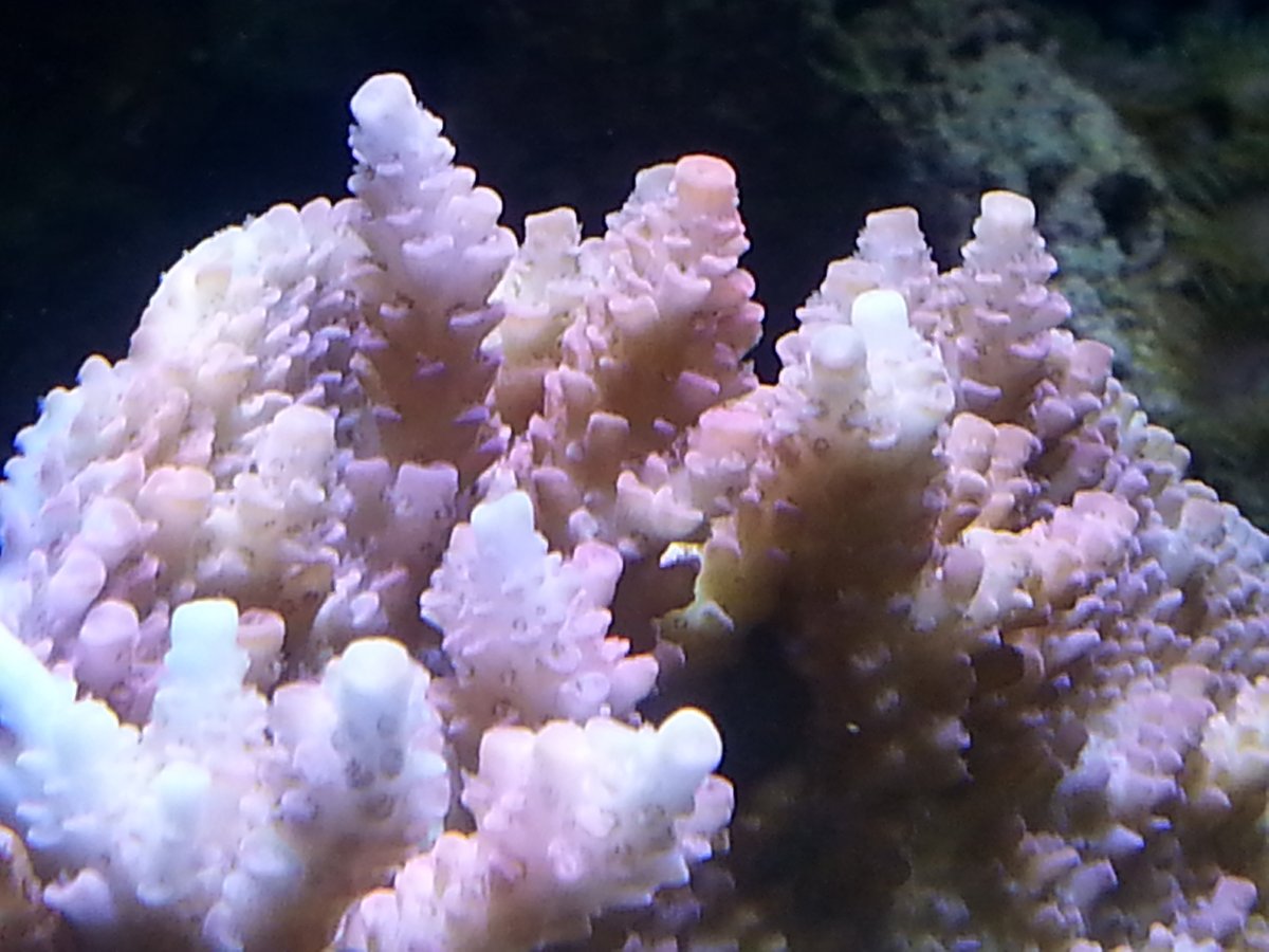 20161102_145421.jpg