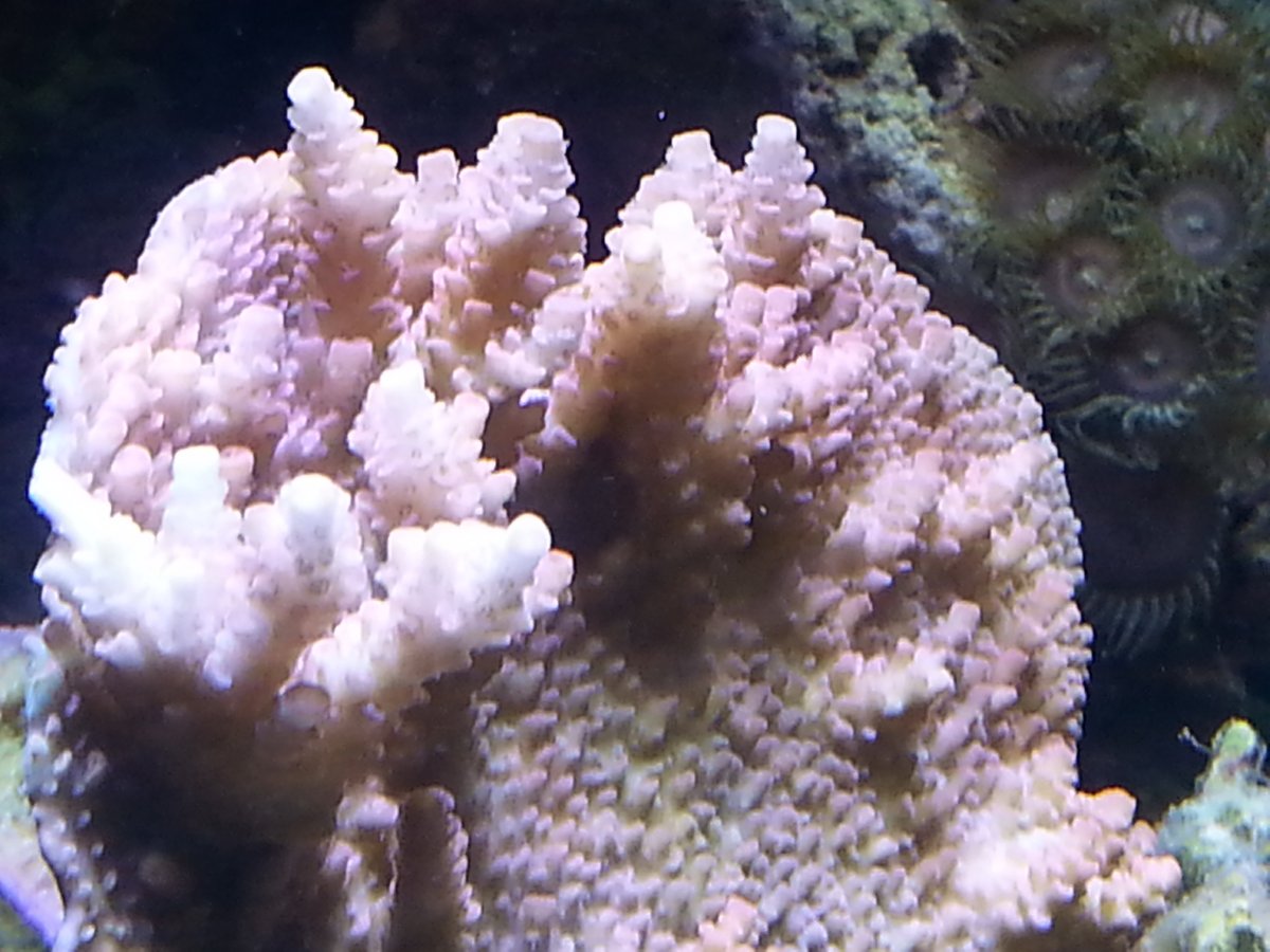 20161102_145427.jpg
