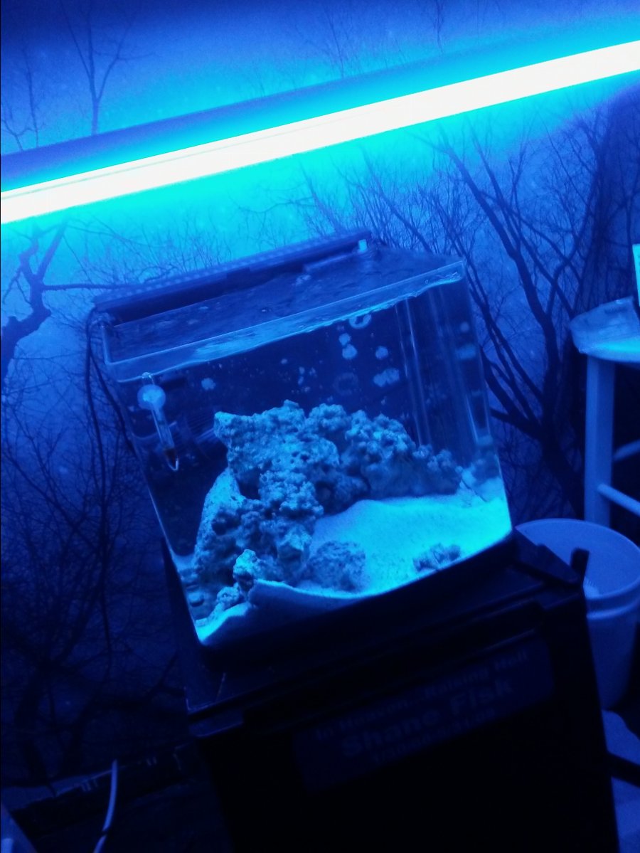 20161102_231308.jpg