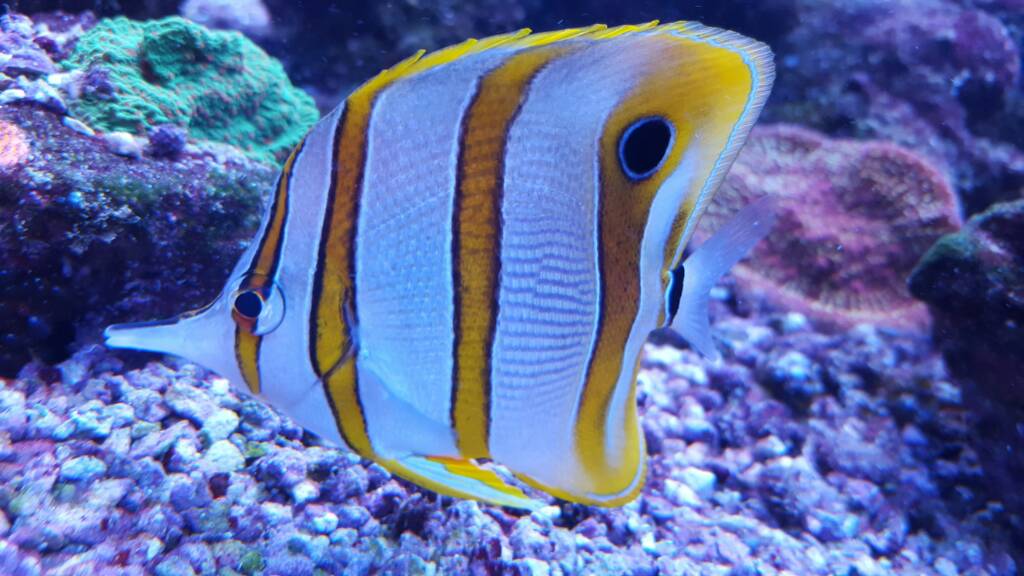 20161103_103620.jpg