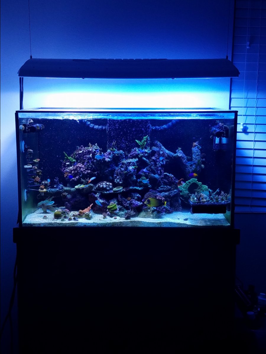 20161103_181528.jpg