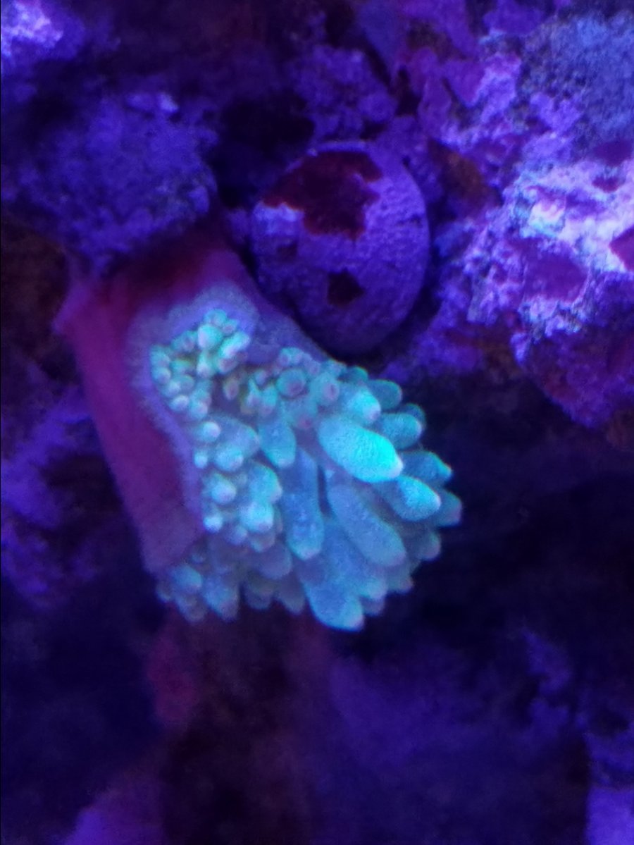 20161103_190456.jpg