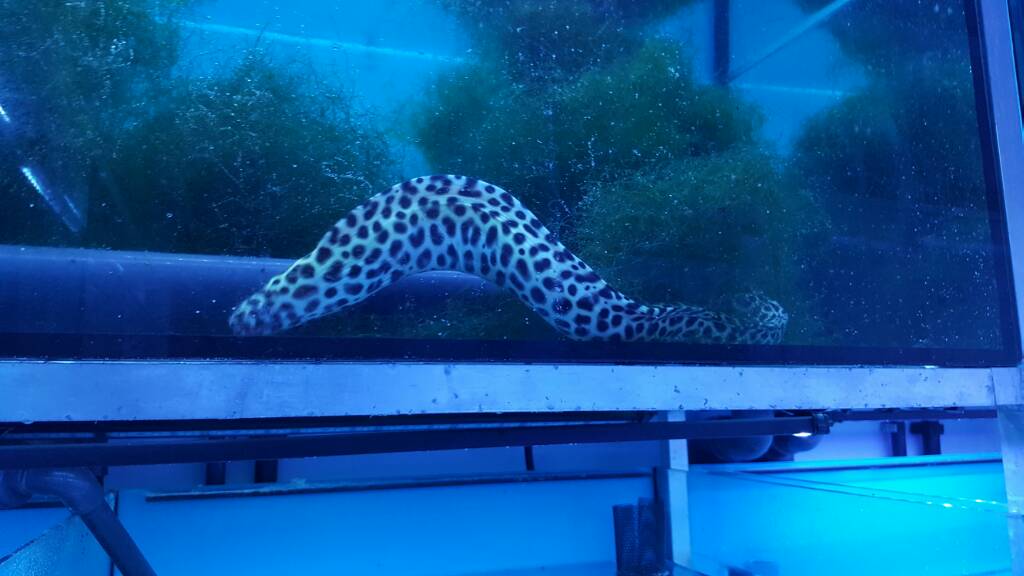 20161106_123733.jpg