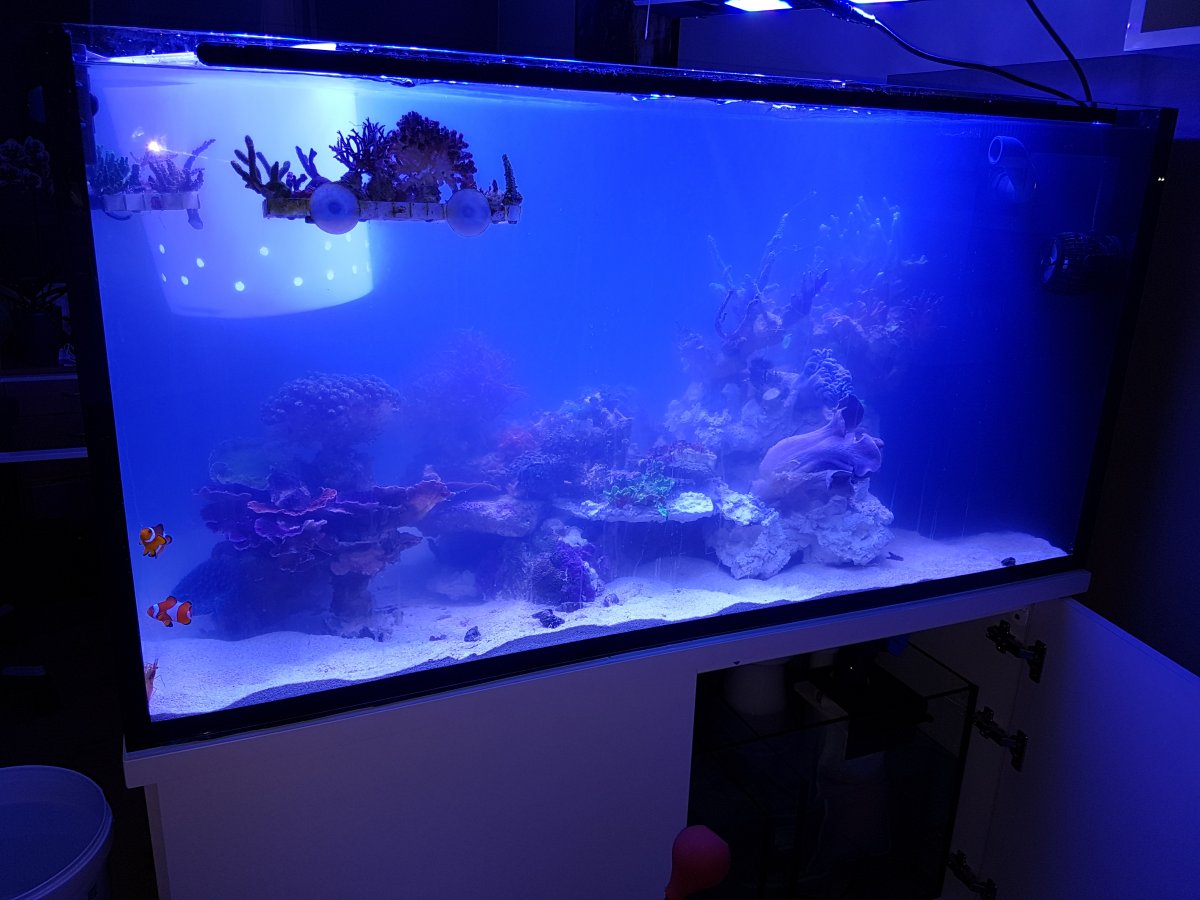 20161106_172945.jpg