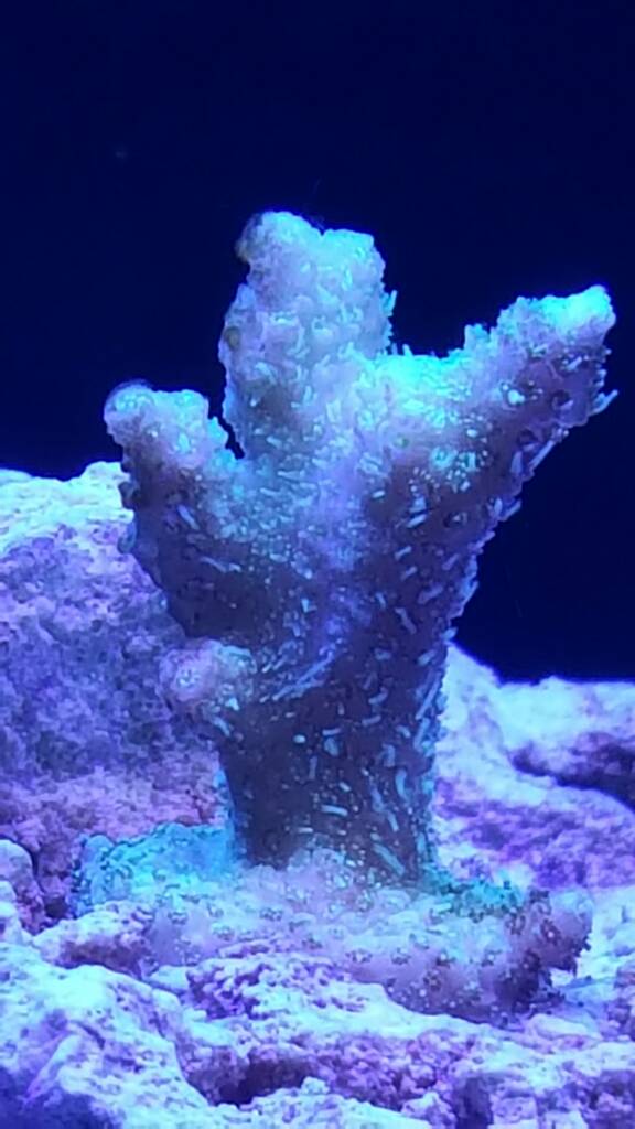 20161109_154241.jpg