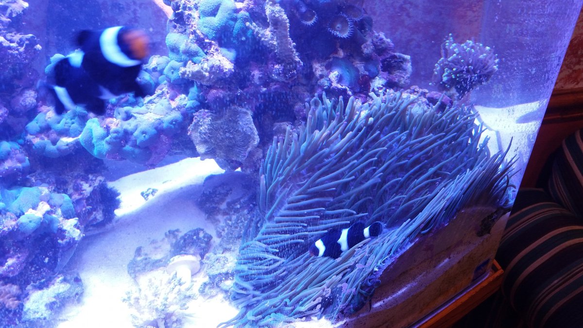 20161109_172638.jpg