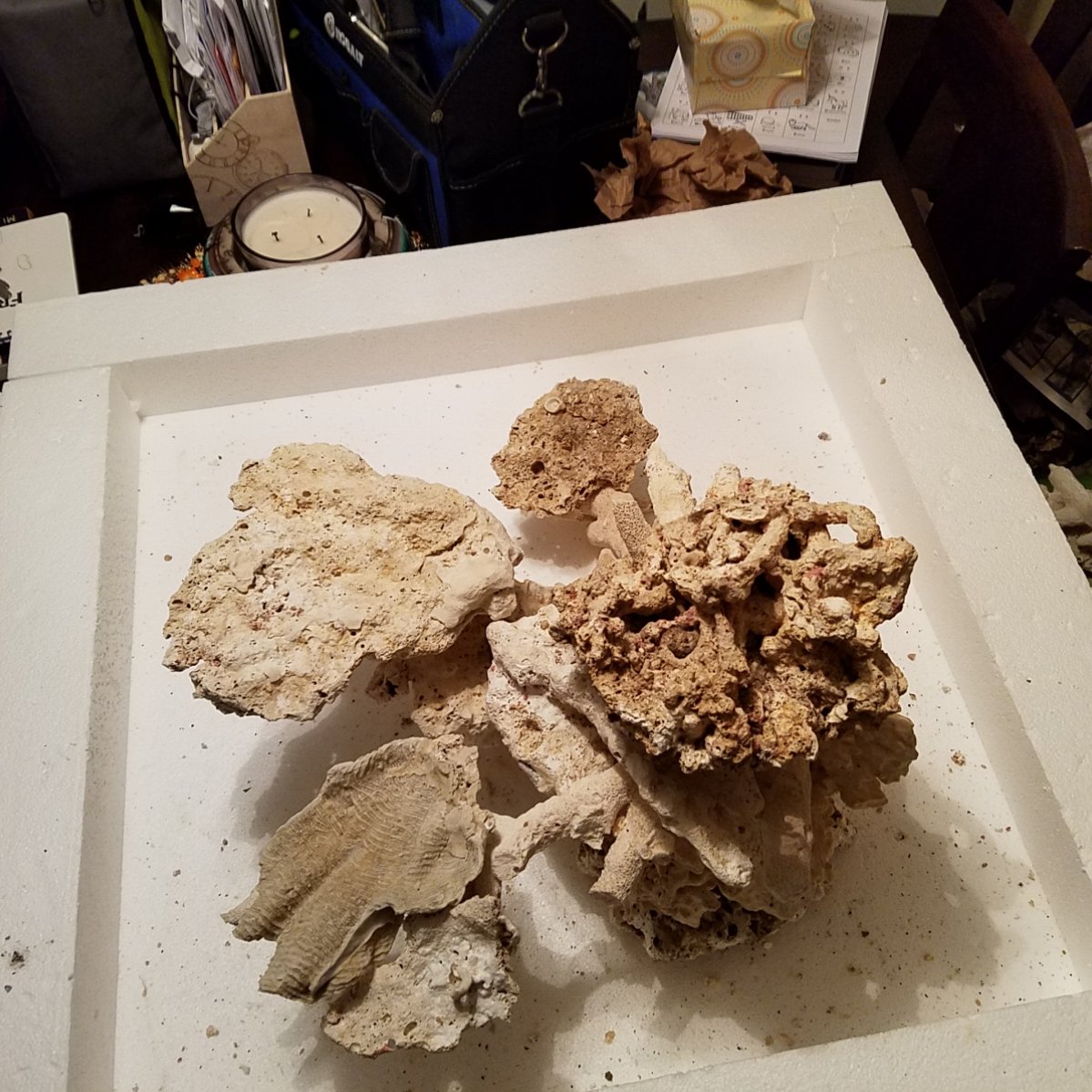 20161109_200310.jpg