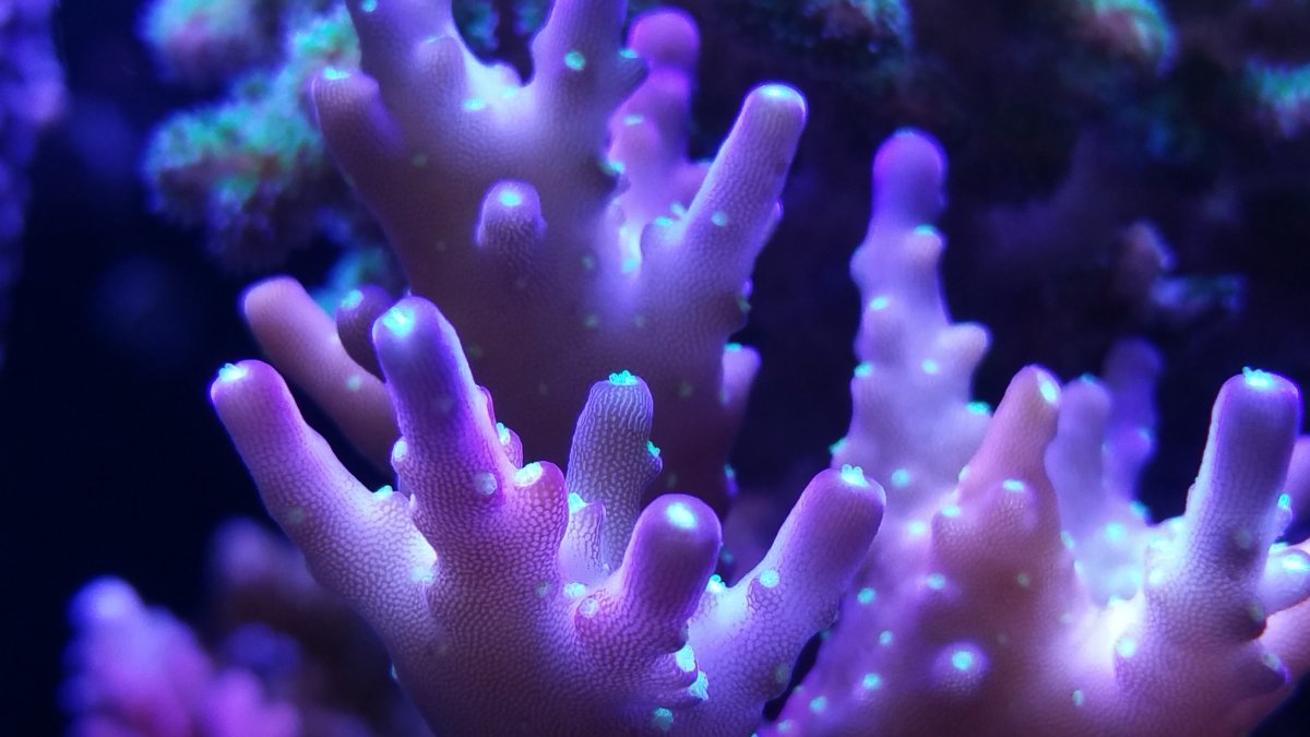 20161109_204125.jpg