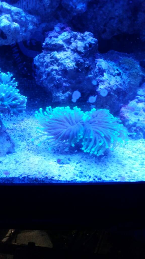 20161111_093515.jpg