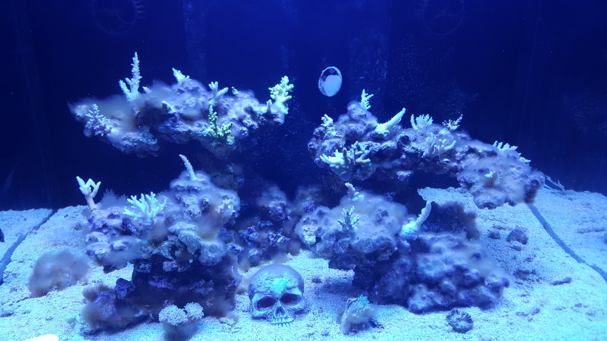 20161111_200959.jpg