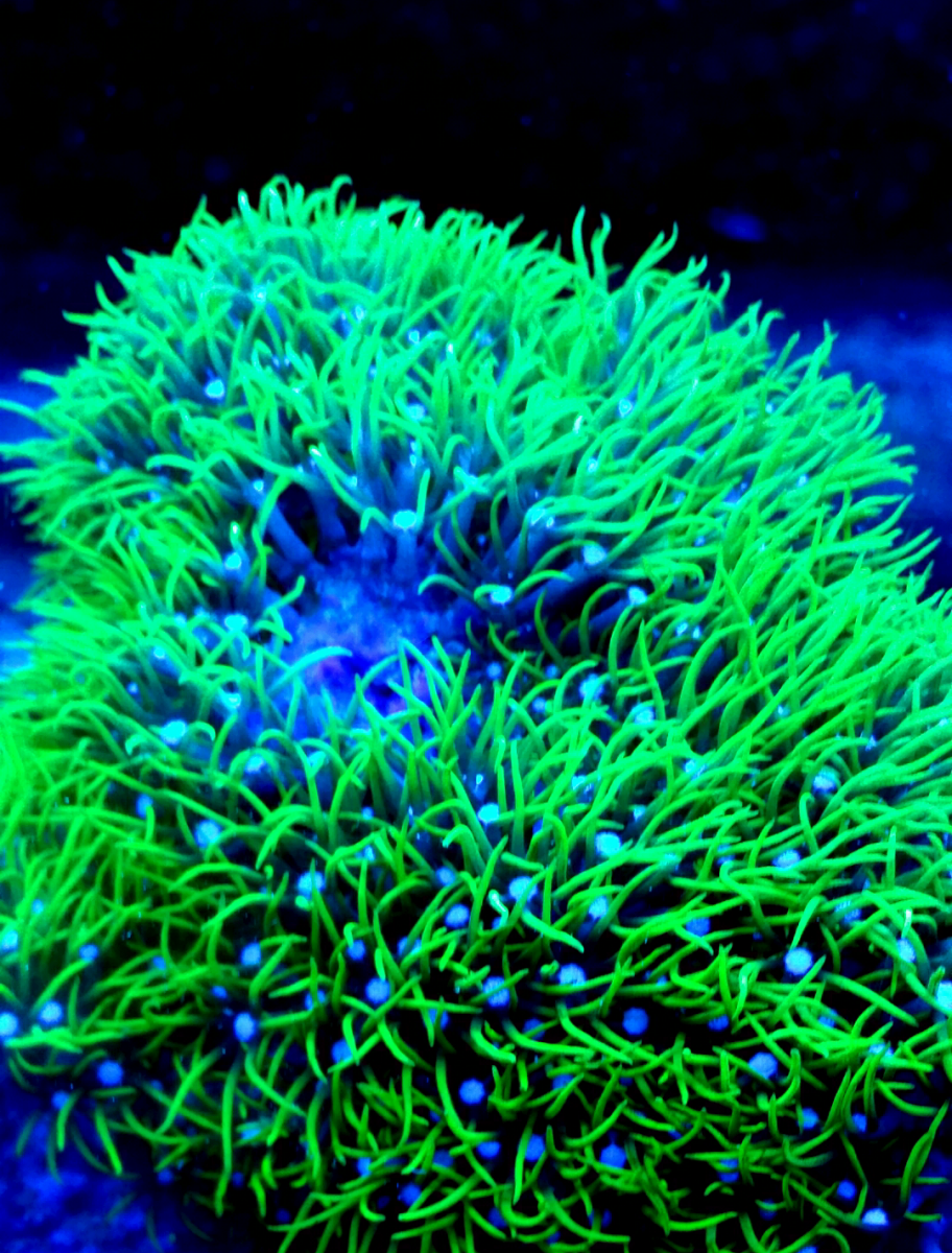 20161114_145640.png