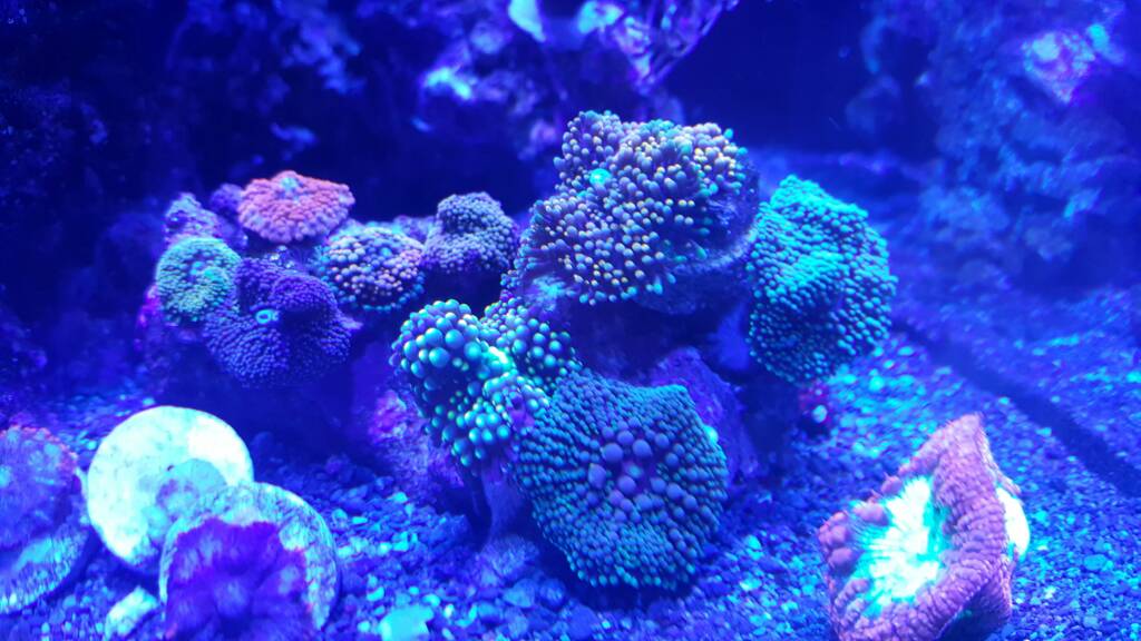 20161114_162037.jpg