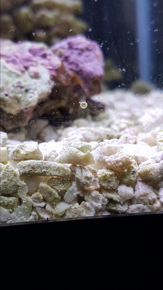 20161114_180923.jpg