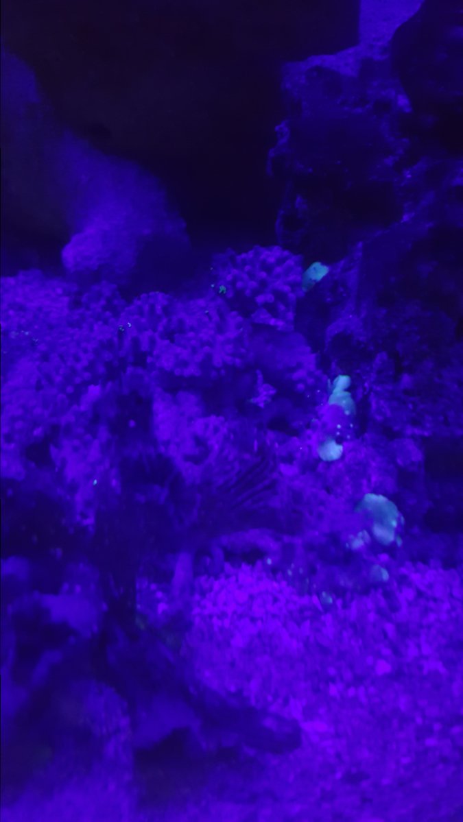 20161115_215809.jpg