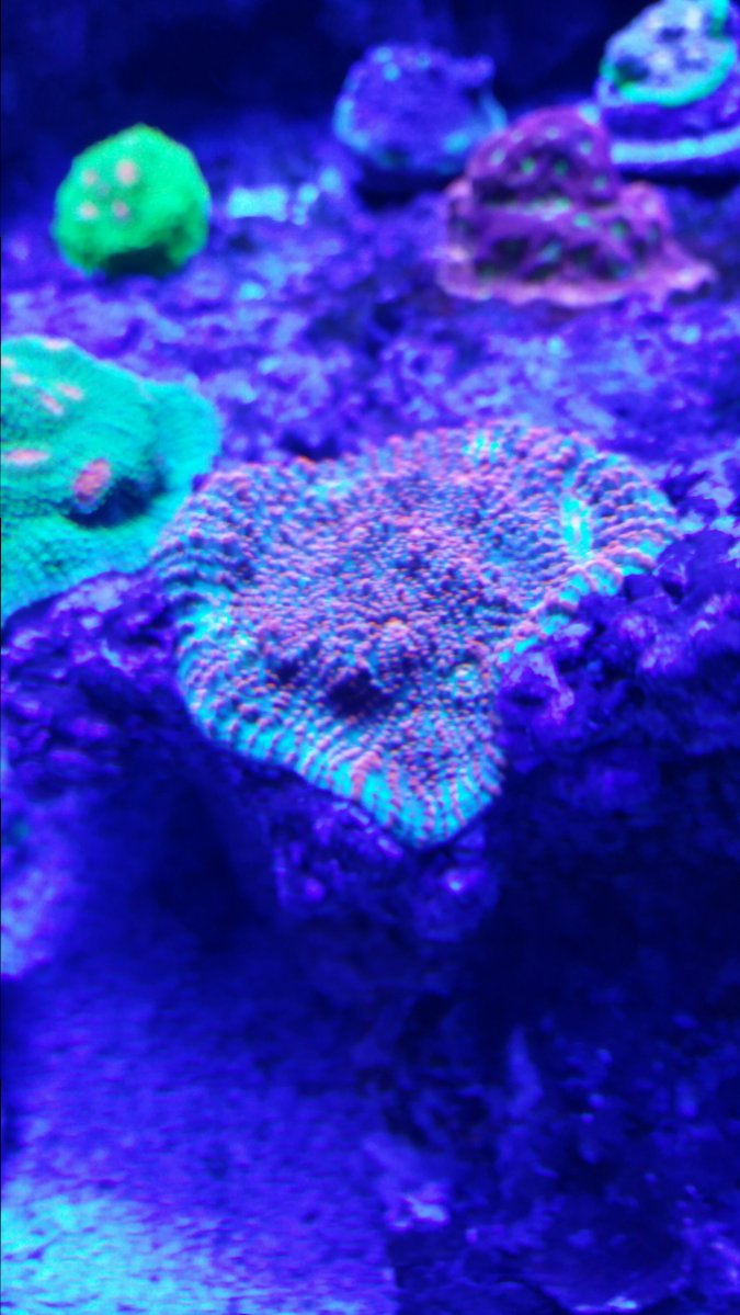 20161119_145919.jpg