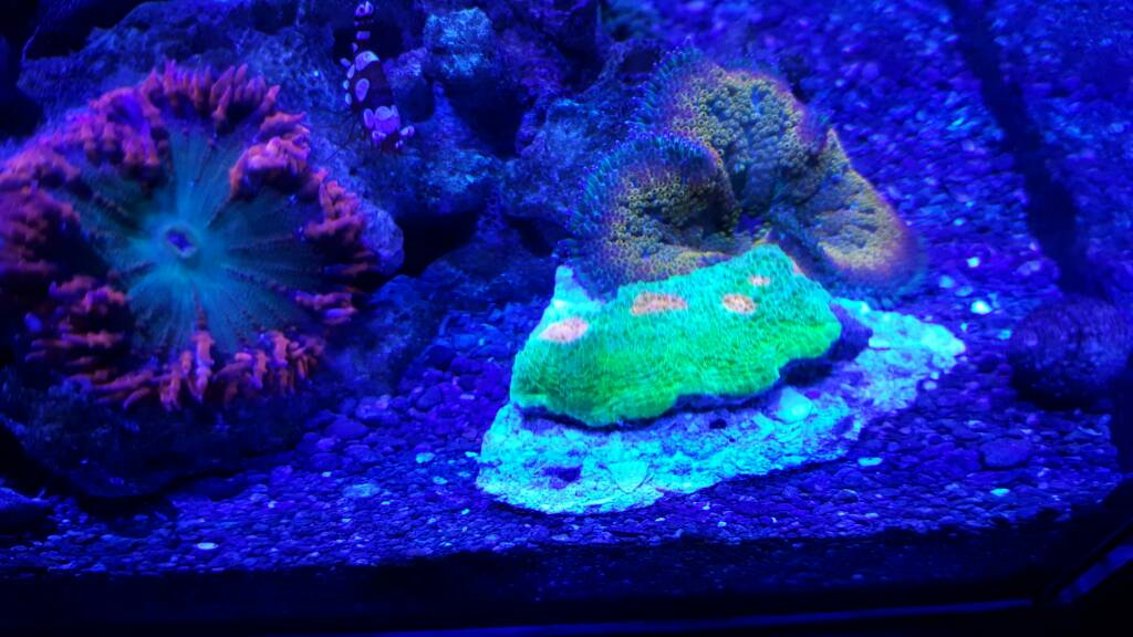 20161119_160111.jpg