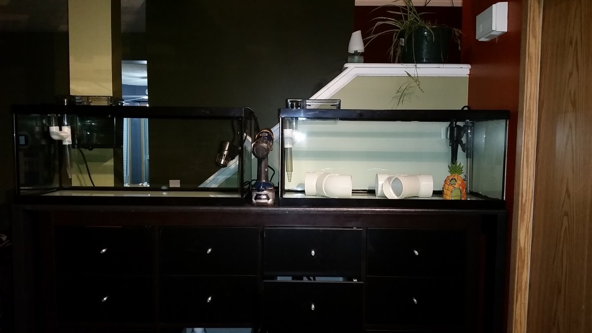 20161121_015114.jpg