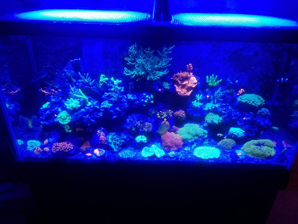 20161121_215025.jpeg