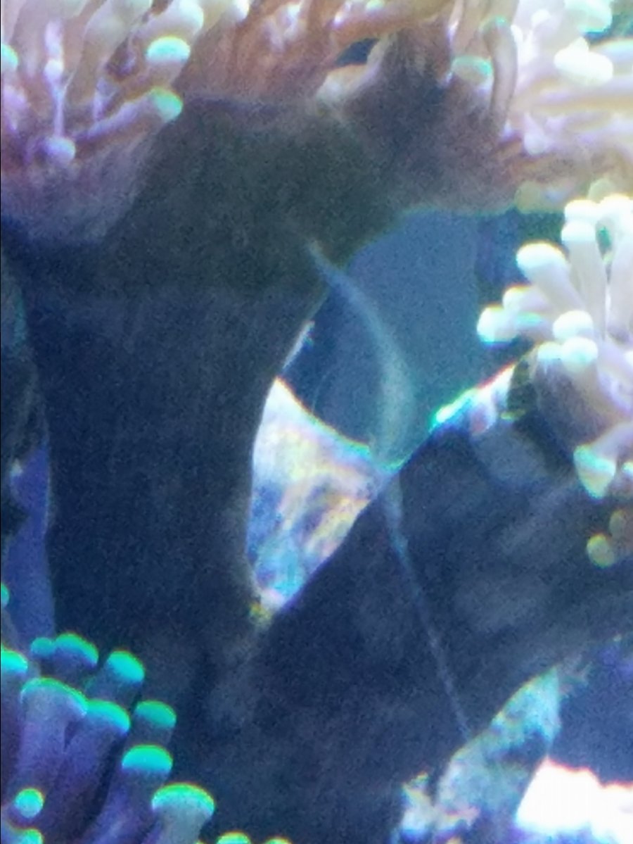 20161122_220507.jpg