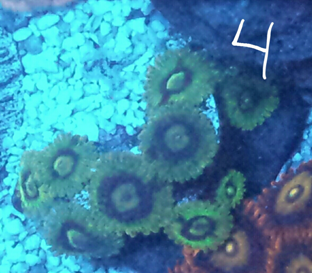 20161123_141836.png