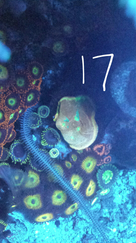 20161123_142927.png