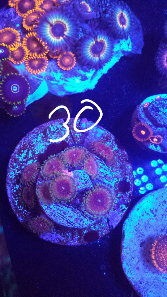 20161123_143906.png