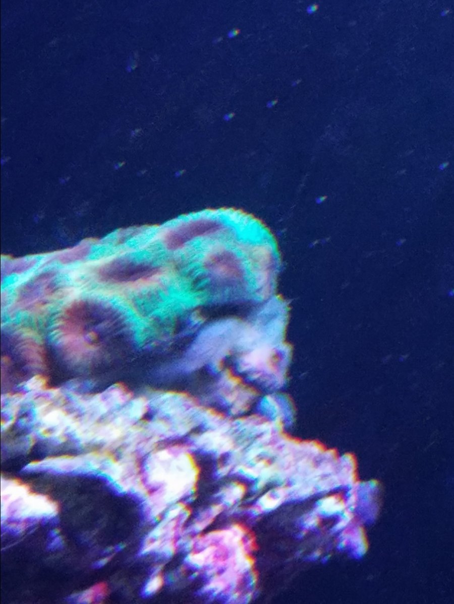 20161124_222959.jpg