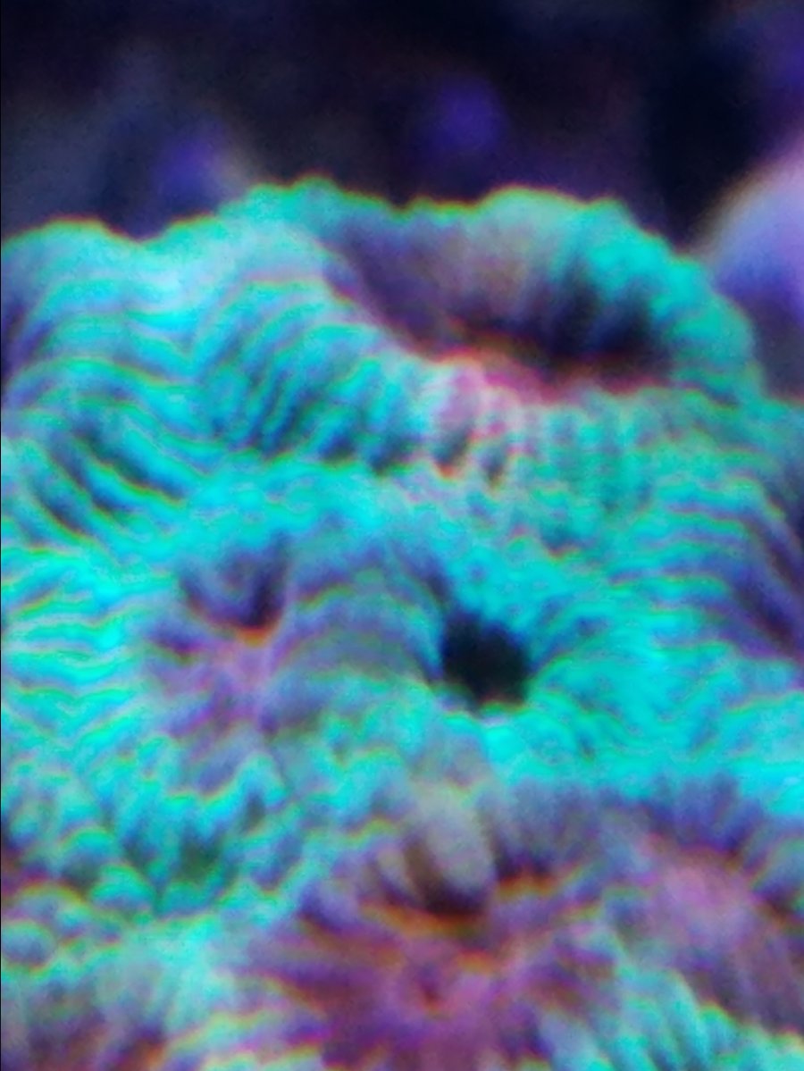 20161124_223016.jpg