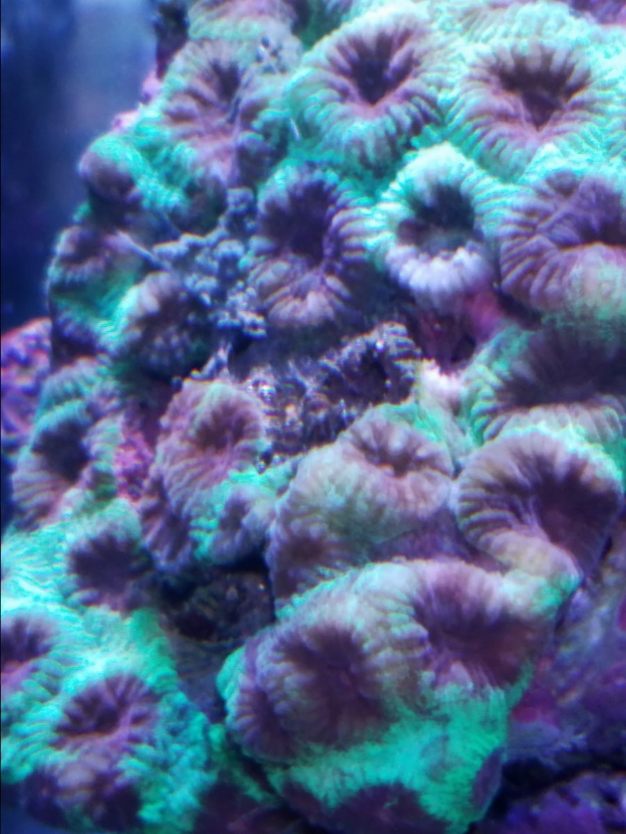 20161124_223032.jpg