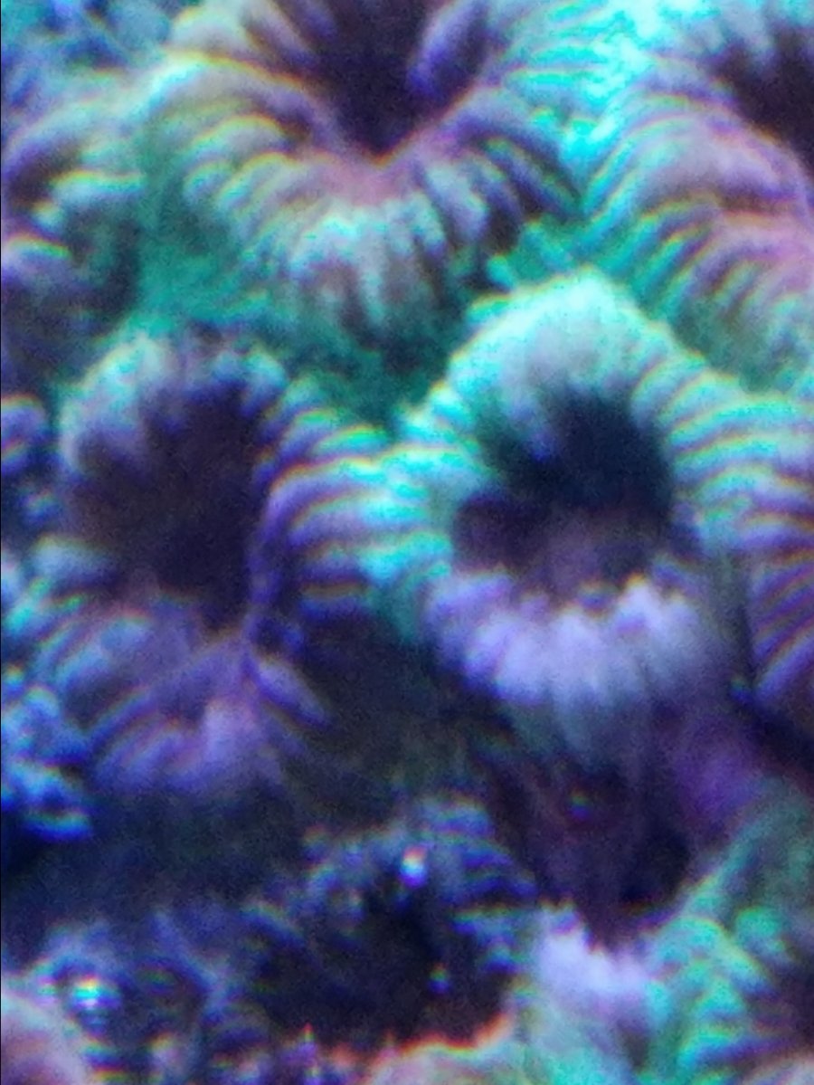 20161124_223039.jpg