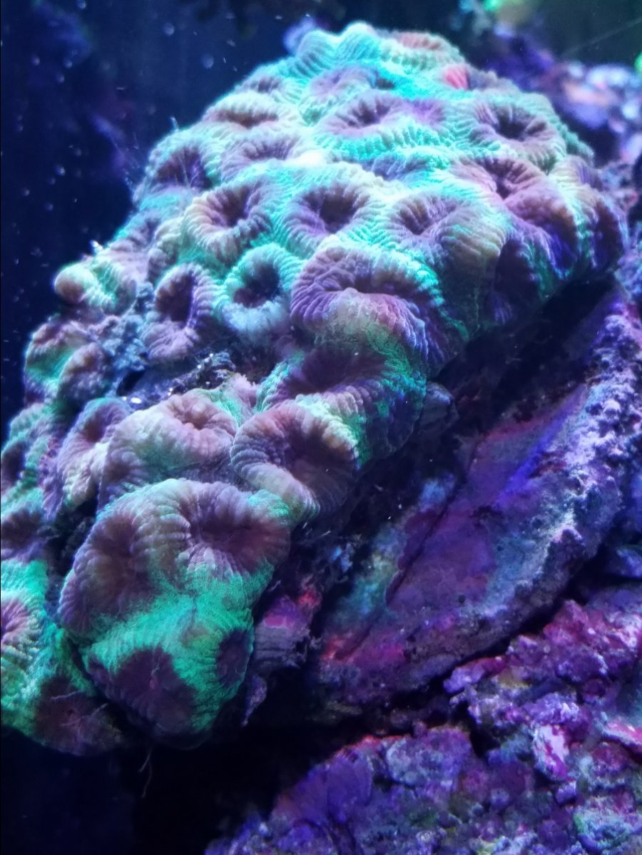 20161124_223056.jpg