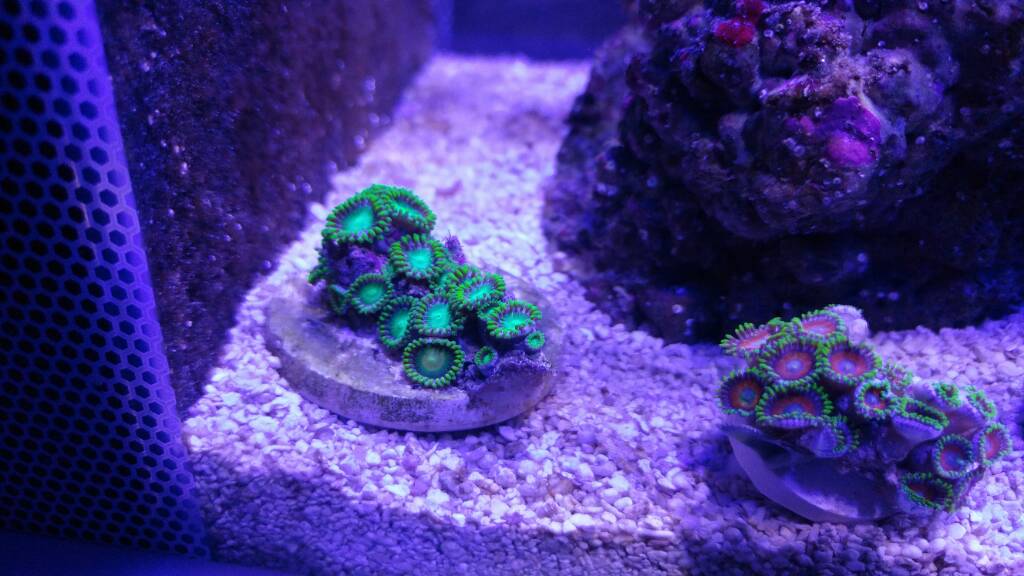 20161125_200211.jpg
