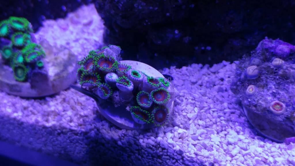 20161125_202136.jpg