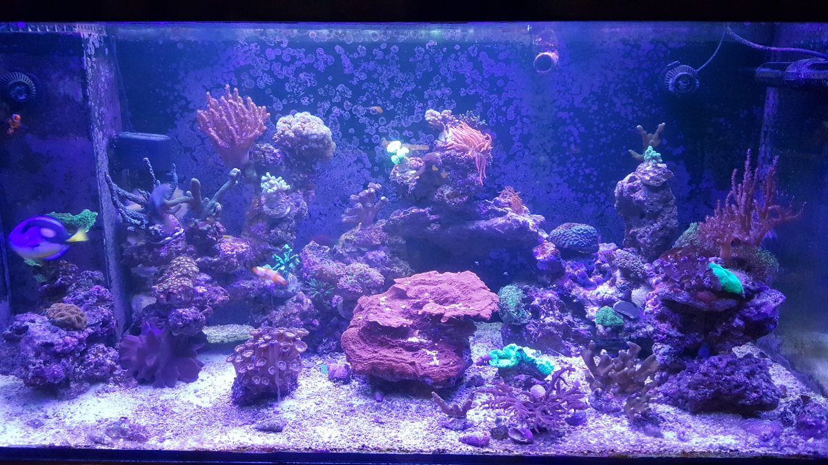 20161126_201831.jpg