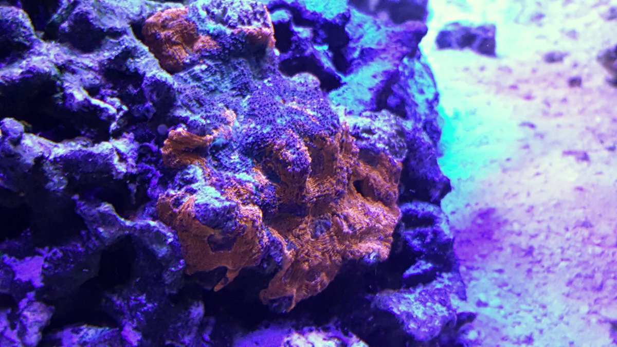 20161127_125458-01.jpeg