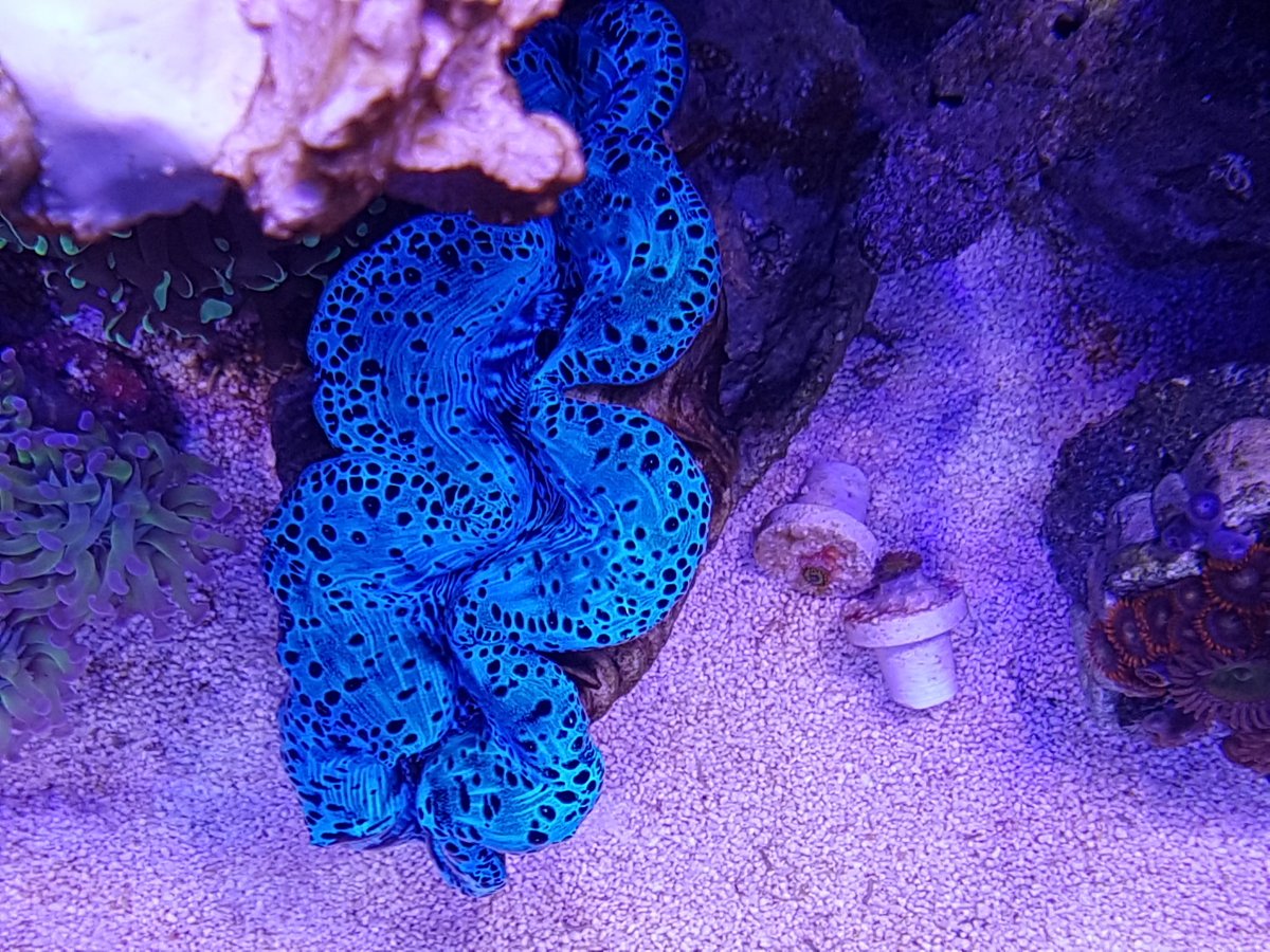 20161127_144718.jpg
