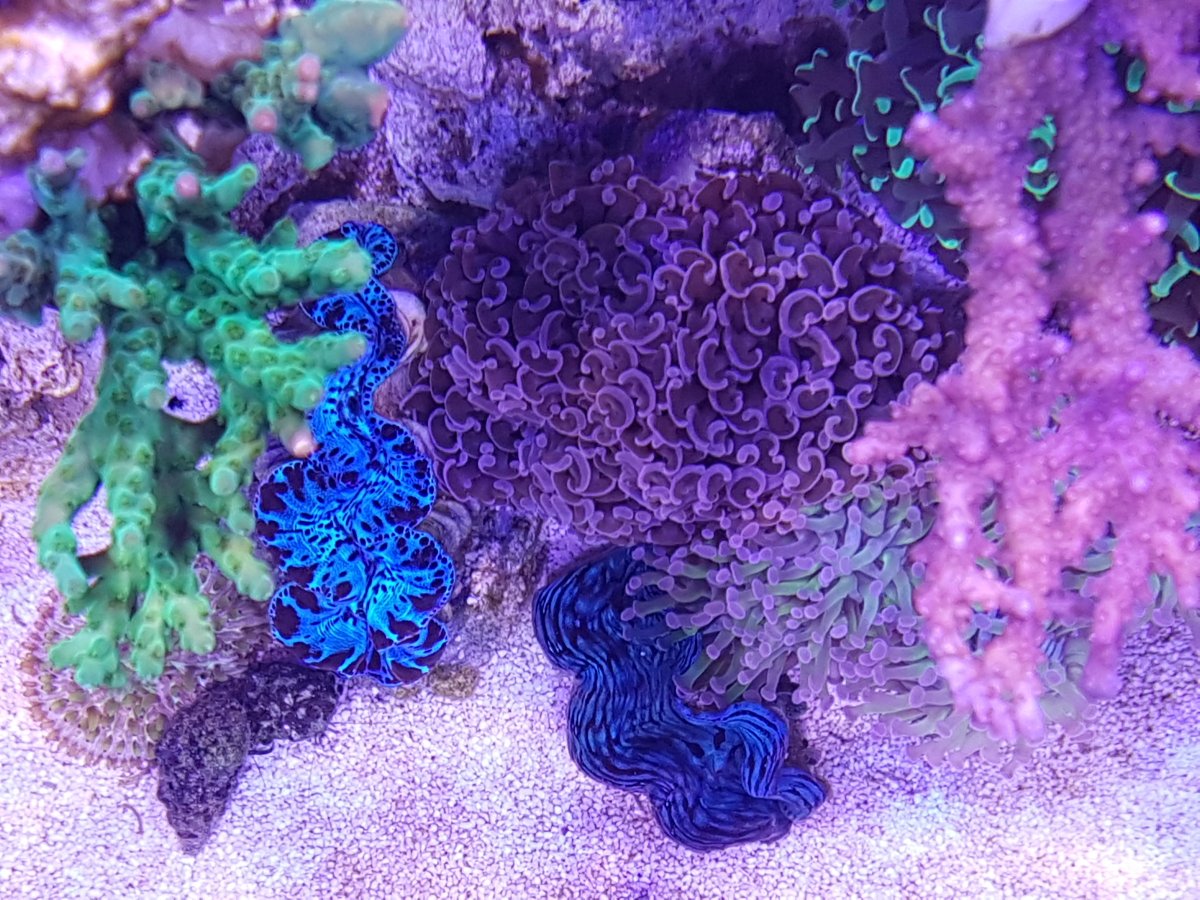20161127_144736.jpg