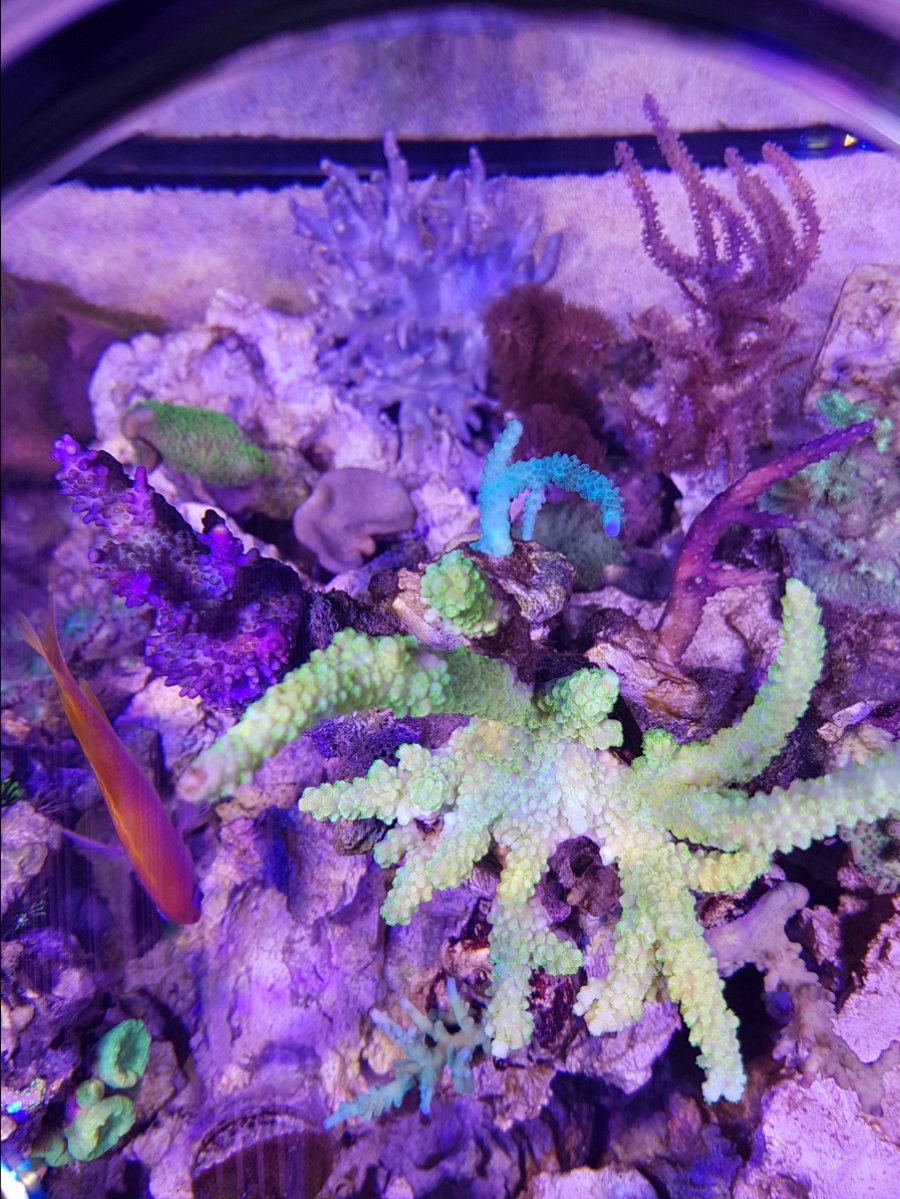 20161127_145146.jpg