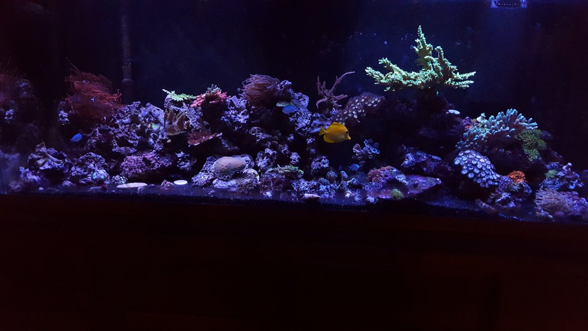 20161127_154737.jpg