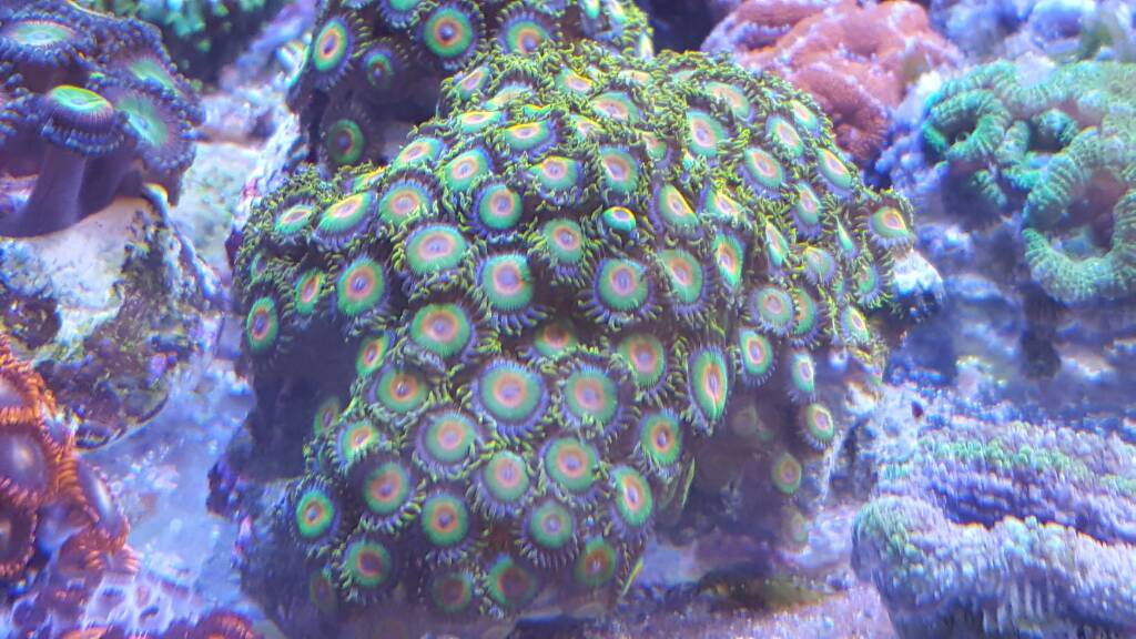 20161127_155955.jpg