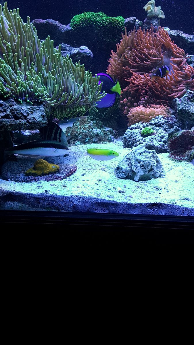 20161127_165651-01.jpeg