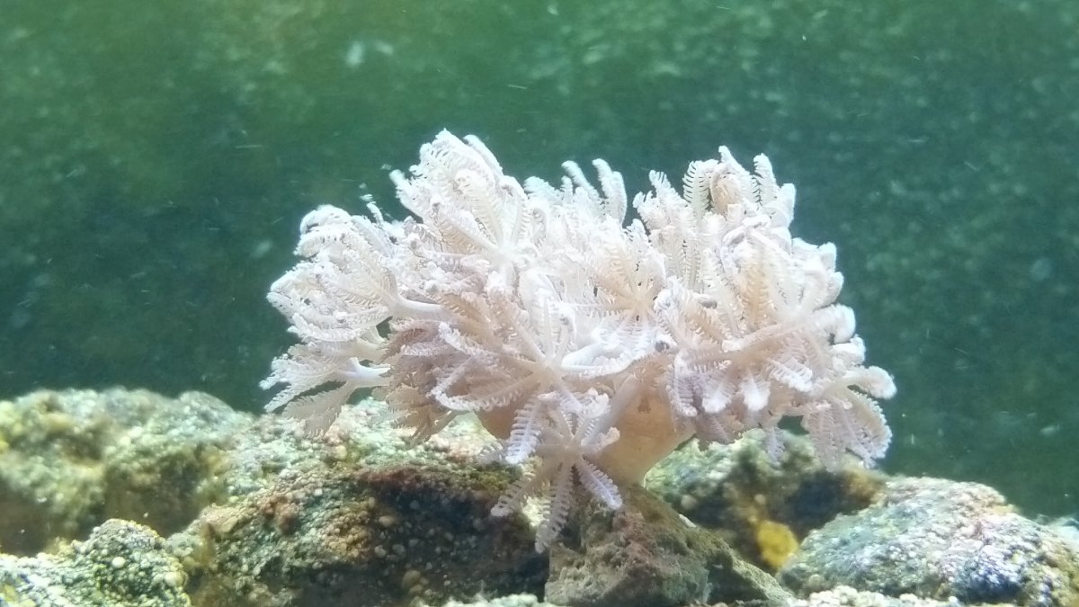 20161127_173536.jpg