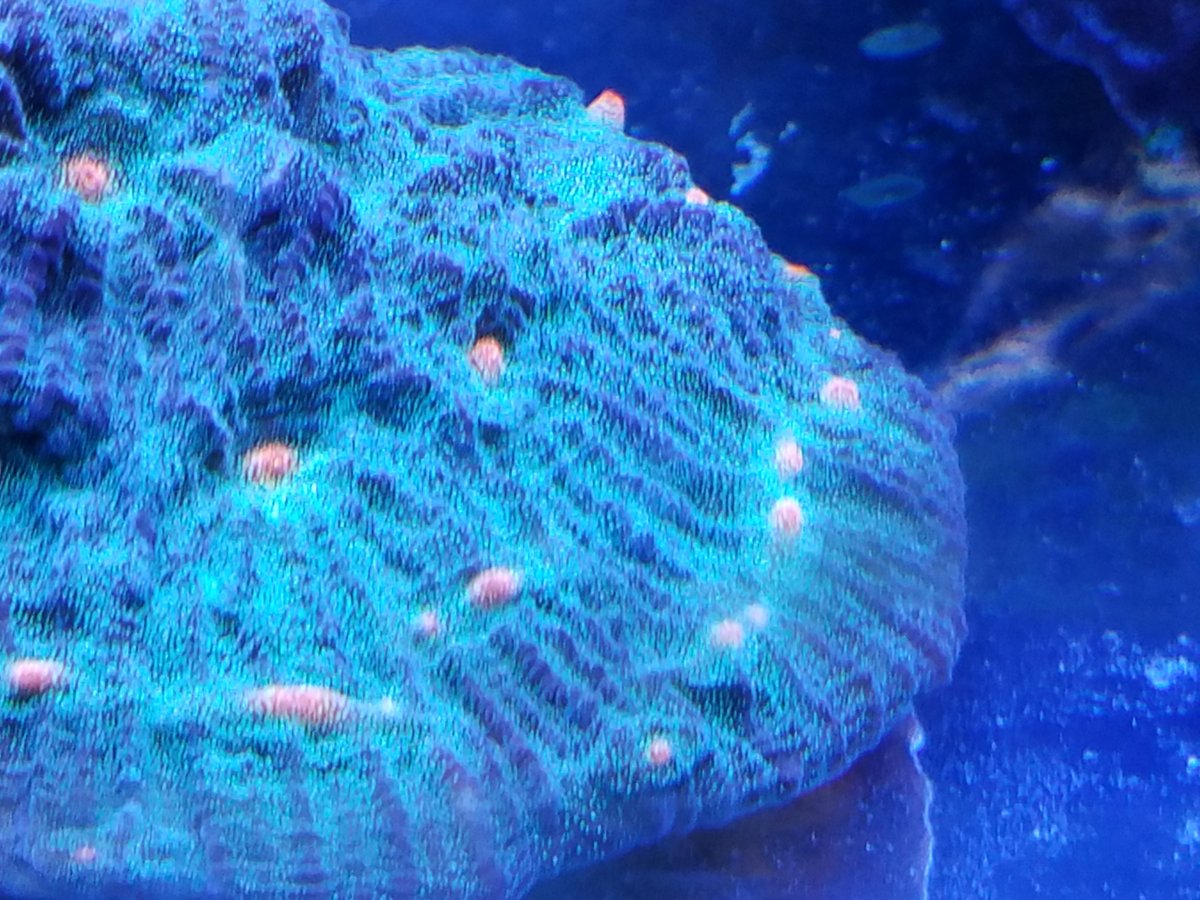 20161127_191735.jpg